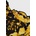 Versace Бикини Versace (1008556)