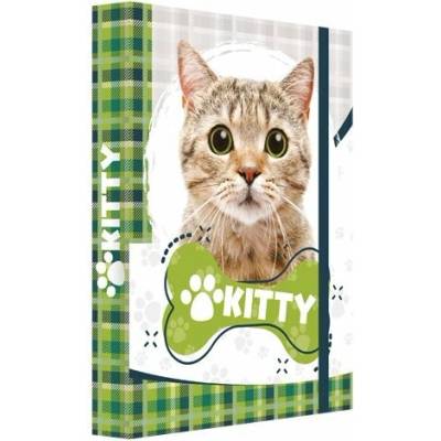 Junior Box na sešity A4 Kitty