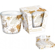 Bartek Candles Glamour Christmas - Golden Glow 115 g