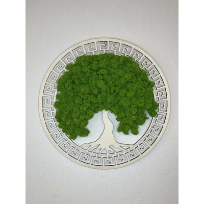 Machový obraz - s bielym ornamentom Veľkosť rámu: 50cm