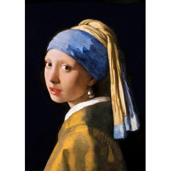 Image 1 of Art Puzzle - Puzzle Vermeer: Girl with a Pearl Earring - 1 000 piese