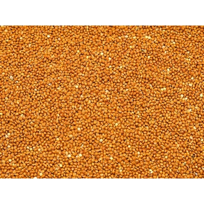 Kampol Proso červené 25 kg
