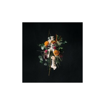 ELEVATION WORSHIP - GRAVES INTO GARDENS-LIVE