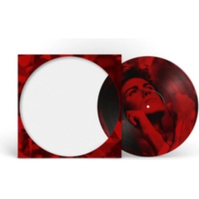 Careless Whisper George Michael Vinyl 12Single Picture Disc