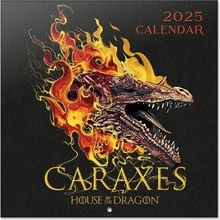 Game of Thrones: House of the Dragon 30 x 30 cm 2025