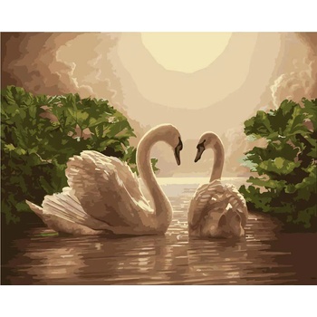 Norimpex - Puzzle Diamant painting: Swan song 30x40cm - 1 - 39 piese