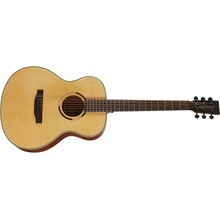 Tanglewood TS3