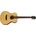 Tanglewood TS3