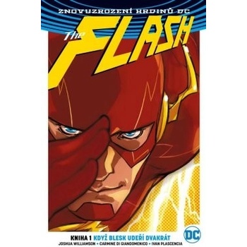 Flash 1: Když blesk udeří dvakrát brož.