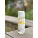 Chemoform lancoform borovice pinie 250 ml