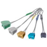 DMM Wallnut Set 7-11 Assorted