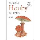 Houby