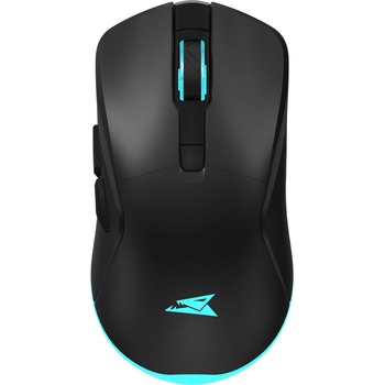 Baracuda Turtle-B BC (BGM-121B)