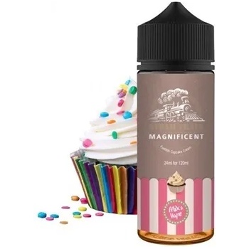 Steam Train - Magnificent 24/120ml
