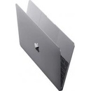 Apple MacBook MJY32SL/A