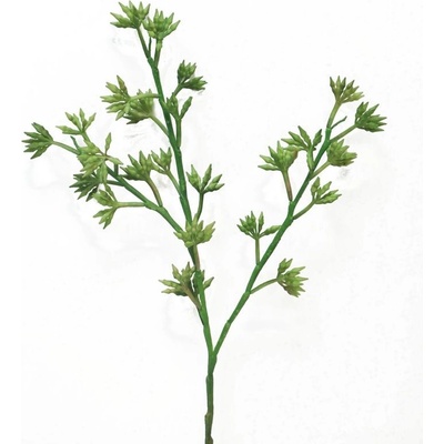 Zrno (seed) 'Eloy' zelené 57 cm
