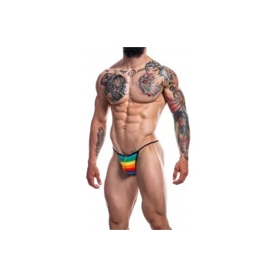 C4M String Rainbow Renaissance - pánská g-string tanga – Zboží Dáma