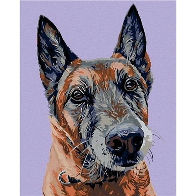 zuty Malování podle čísel Starý vlčák 80 x 100 cm vypnuté plátno na rám