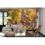 DIMEX ART Самозалепваща се флизелинова фототапета отражение на есенния пейзаж 375 x 250 см