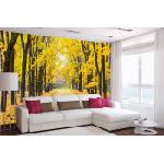 DIMEX ART Самозалепваща се флизелинова фототапета есенен парк 375 x 250 см