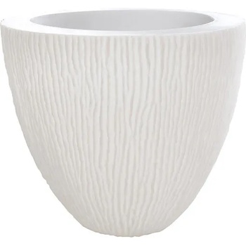 Image 1 of Roto Samba M