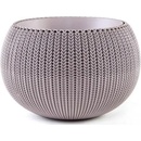 Image 1 of Keter Cozy M (229538/229540/229541/231129)