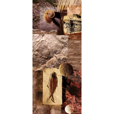 Preinterier DV0001 Fototapeta na stenu Mozaika skamenelín vlies 91cm x 211cm