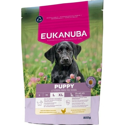 Eukanuba Puppy Large Breeds Chicken 0,8 kg