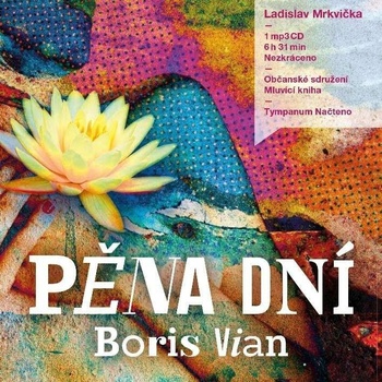 Pěna dní