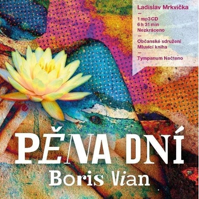Pěna dní