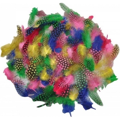 Kropenaté barevné peří měkké, 100 ks – Zbozi.Blesk.cz