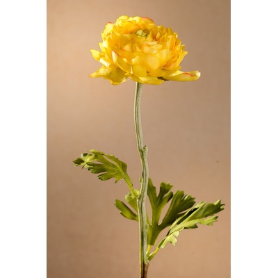 Paramit Ranunculus Aranžovací květina žlutá 51 cm