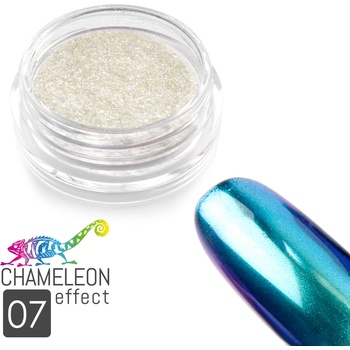 Allepaznokcie chameleon ekekt pigment