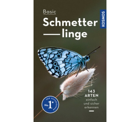 Basic Schmetterlinge