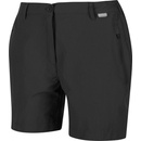 Regatta kraťasy Highton Short Mid