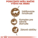 Royal Ageing Sterilised 12+ 4 kg