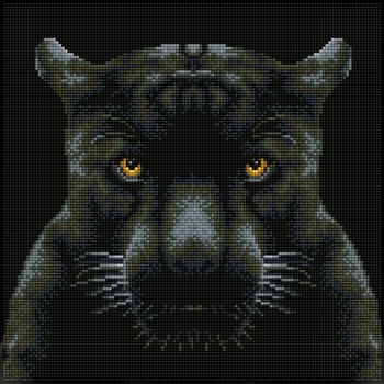 Diamond dotz Поглед - диамантен гоблен dq8.021