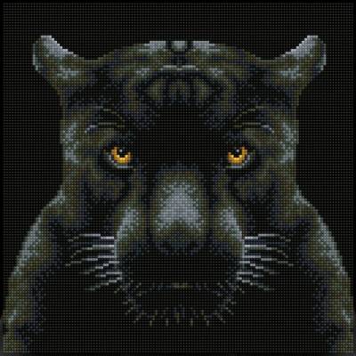 Diamond dotz Поглед - диамантен гоблен dq8.021