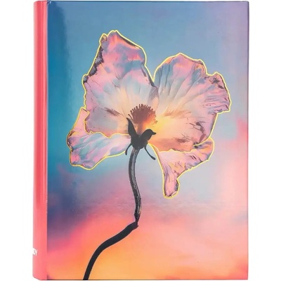 Fandy Fotoalbum pro 200 fotek 10x15 Silky 1