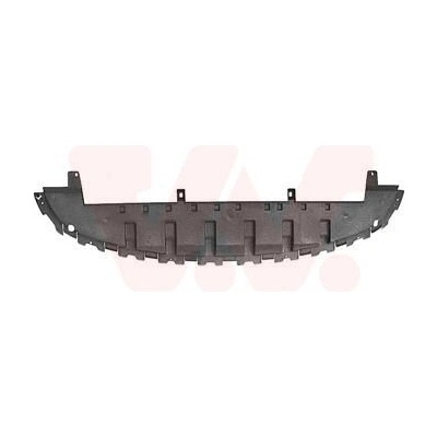 VAN WEZEL Spoiler 4366500