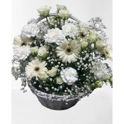 , , БЯЛА КОШНИЦА, ,