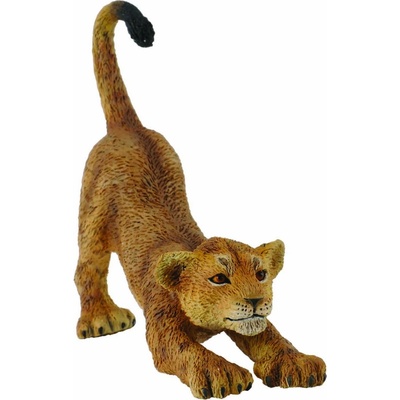 Collecta Levica