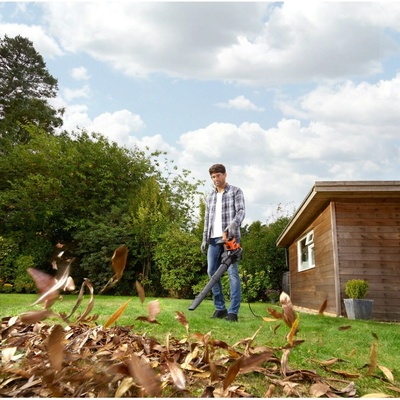 Black & Decker BEBLV301