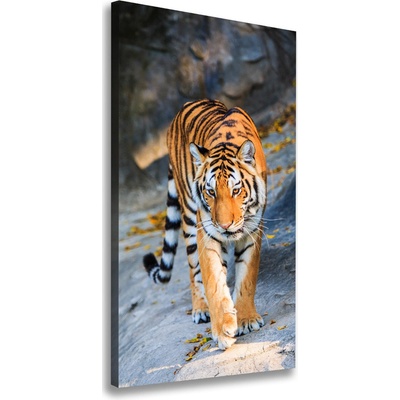 Vertikálny moderný fotoobraz canvas na ráme Tiger 50x100 cm