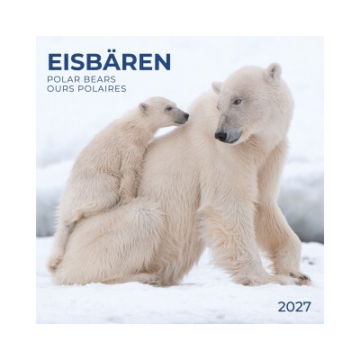 Eisbären / Polar Bears 2027