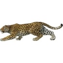 Panther