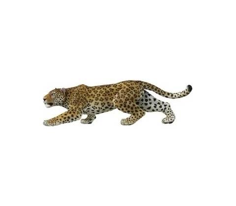 Panther