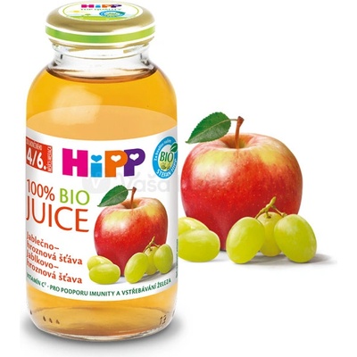 Hipp Šťava BIO jablkovo-hroznová 200ml