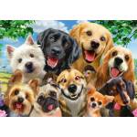 Schmidt Spiele - Puzzle Dog Selfie - 500 piese
