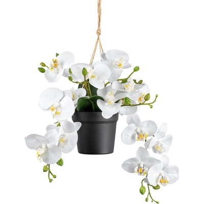 Gasper Gasper Orchidea v závesnom kvetináči, 25 cm, biela